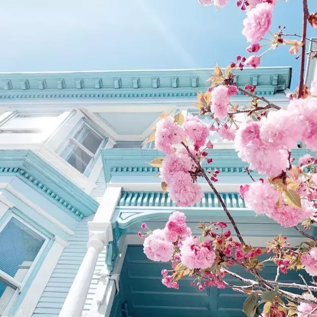 Cerezos en flor frente a una casa victoriana